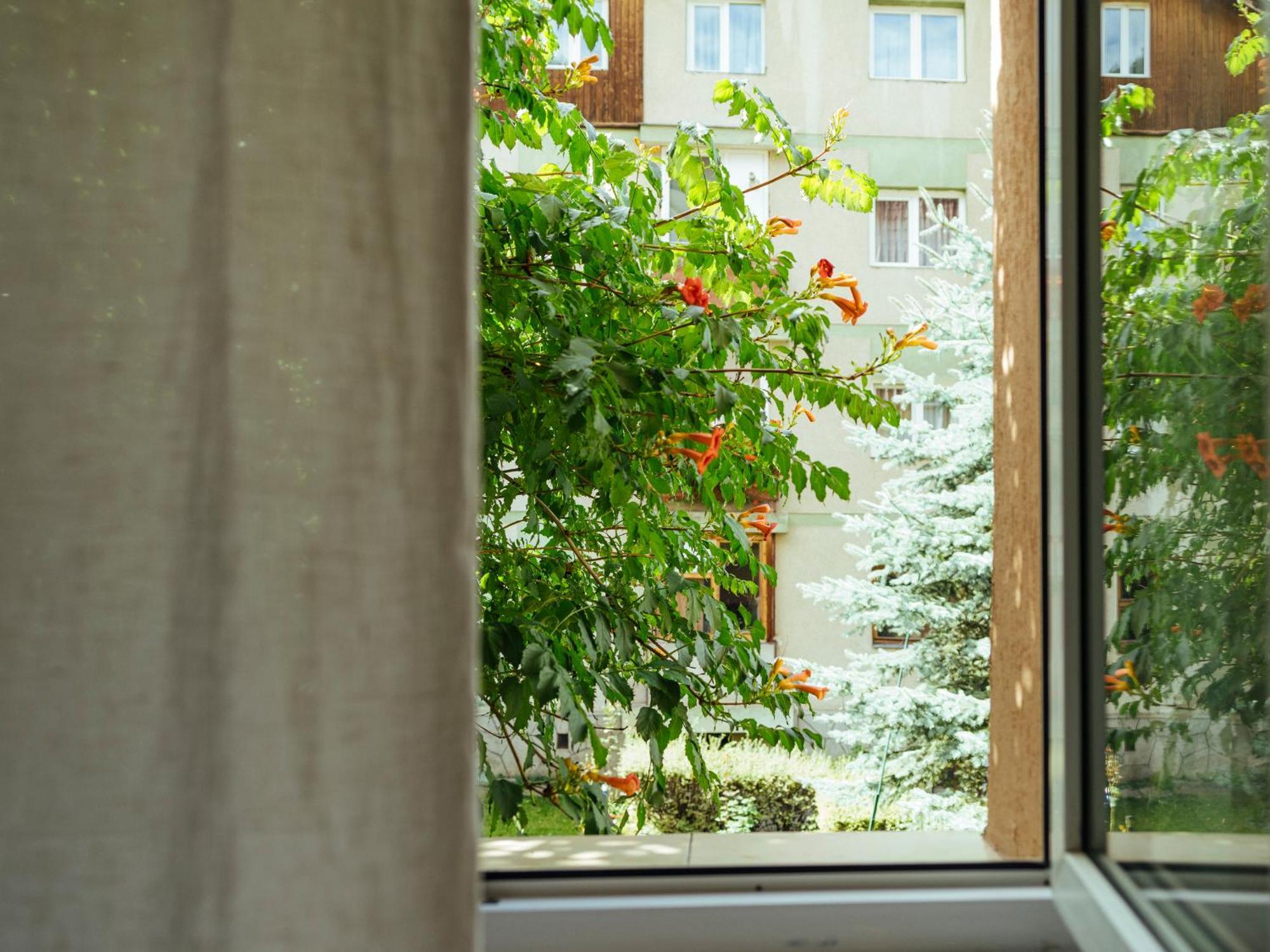 Cozy Central Apartment Near The Forest Braşov Exterior foto