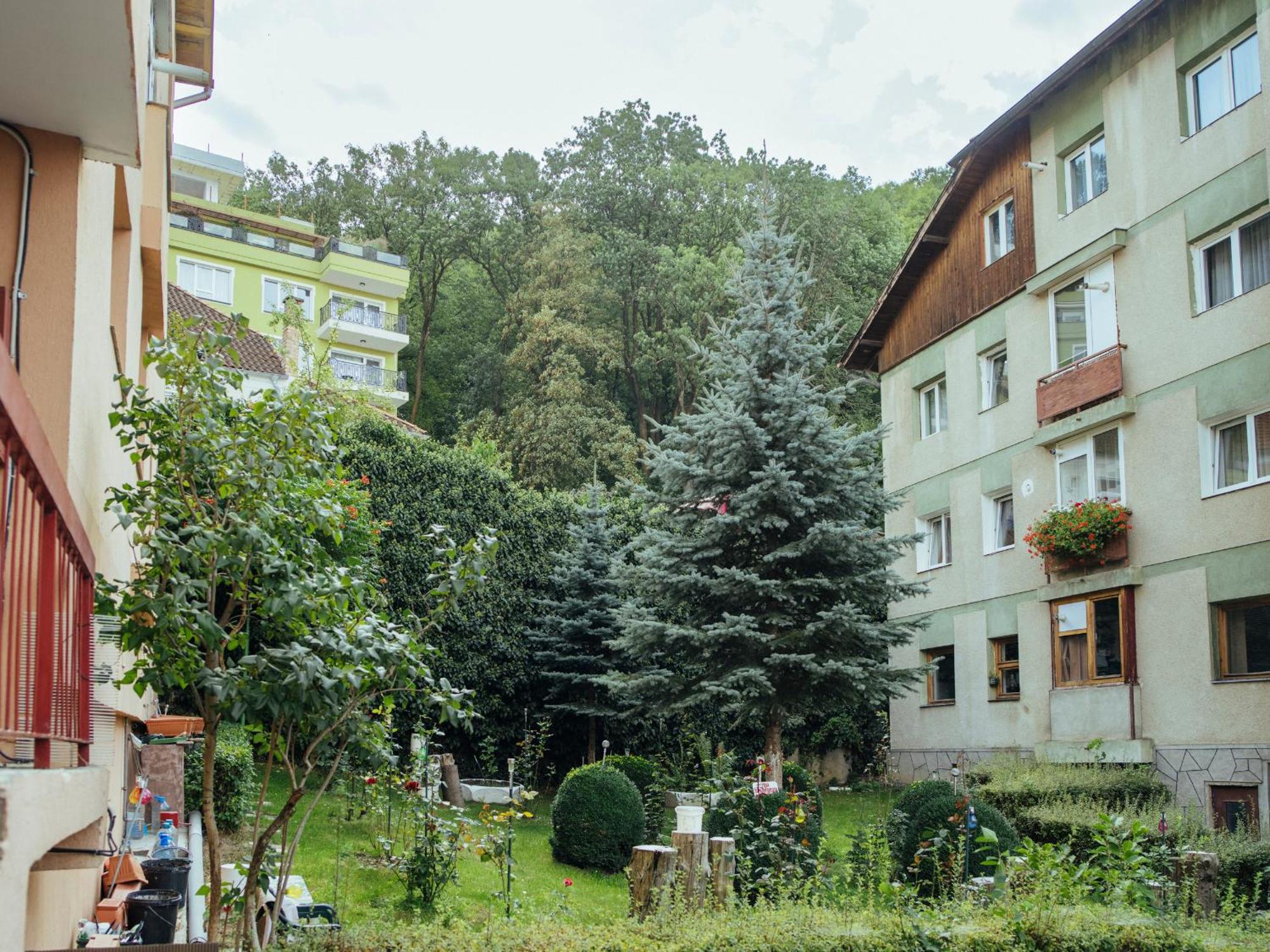 Cozy Central Apartment Near The Forest Braşov Exterior foto