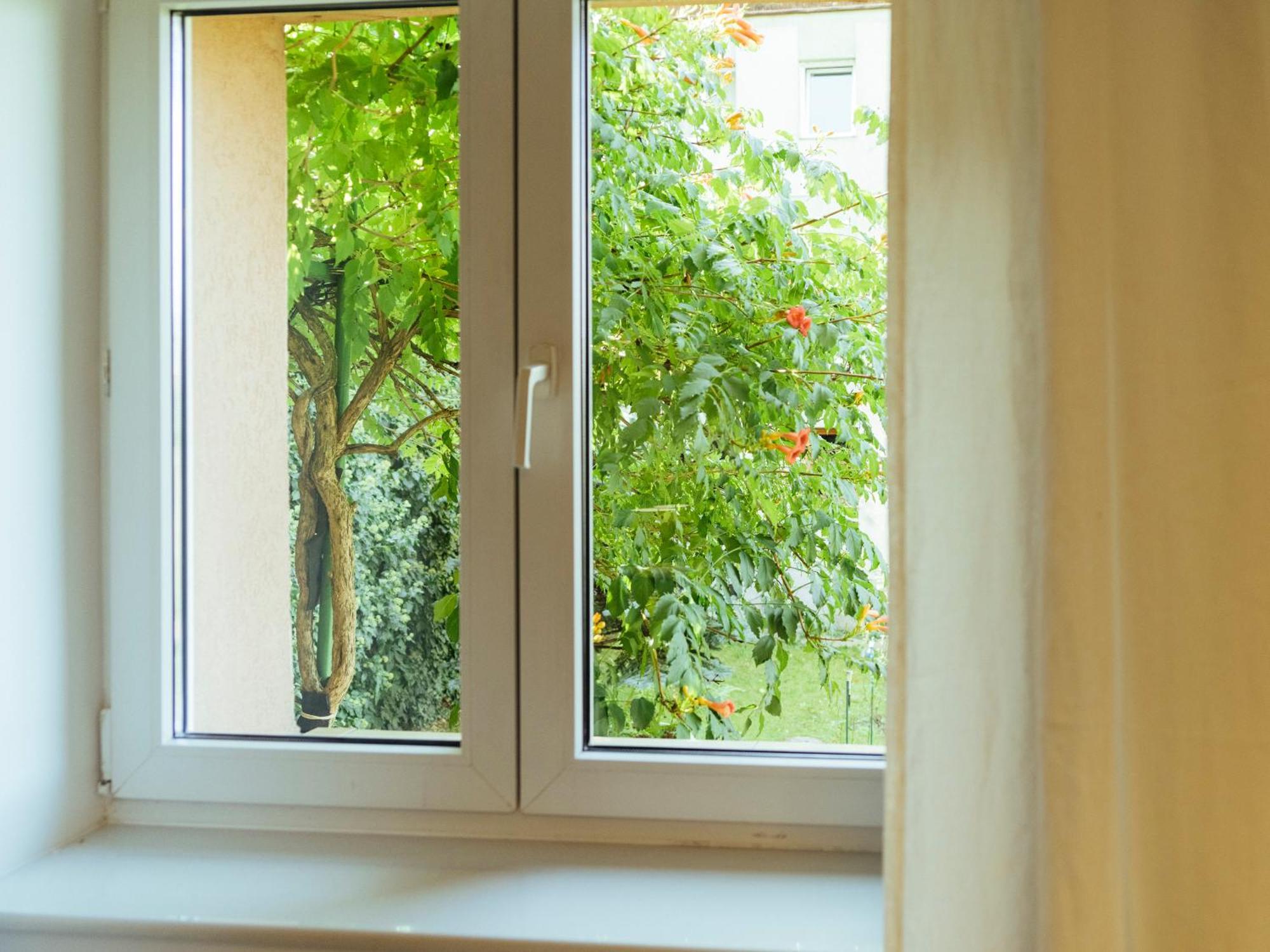 Cozy Central Apartment Near The Forest Braşov Exterior foto